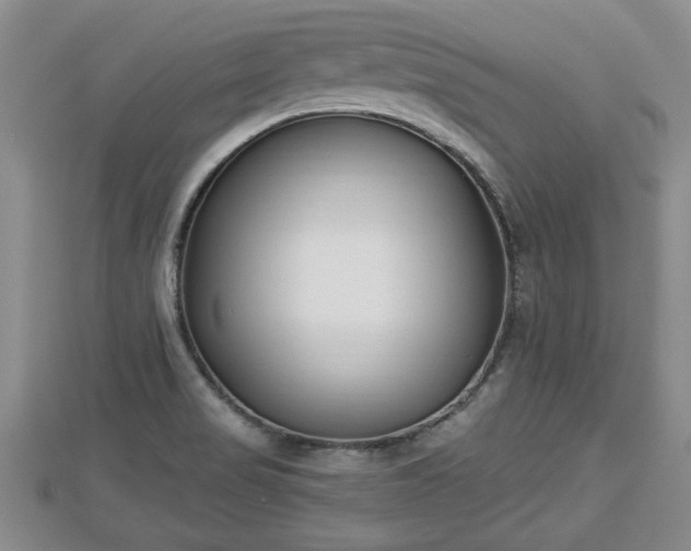 X0000112861517200908281552
