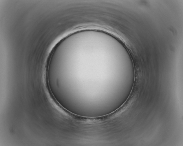 X0000112861518200908281552