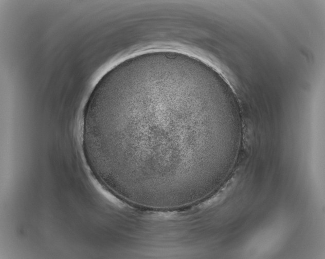 X0000112861519200908281552