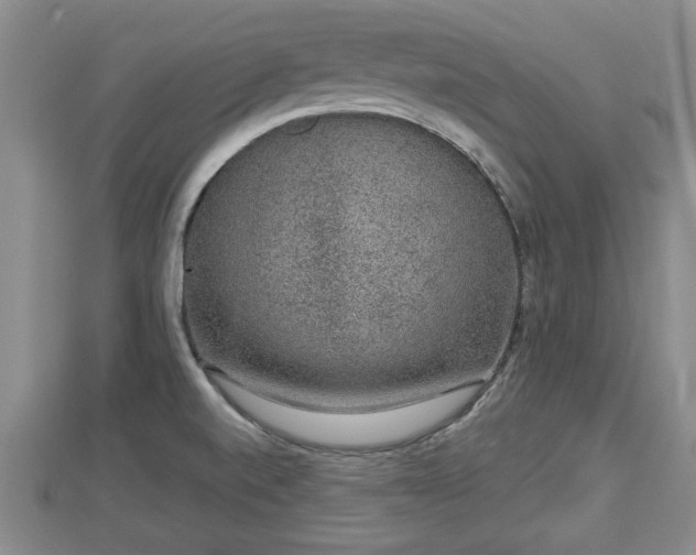 X0000112861520200908281552
