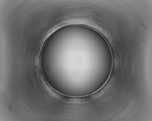 X0000112861521200908281552