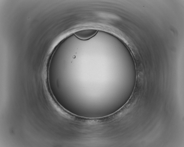 X0000112861523200908281552