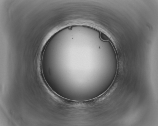 X0000112861525200908281552