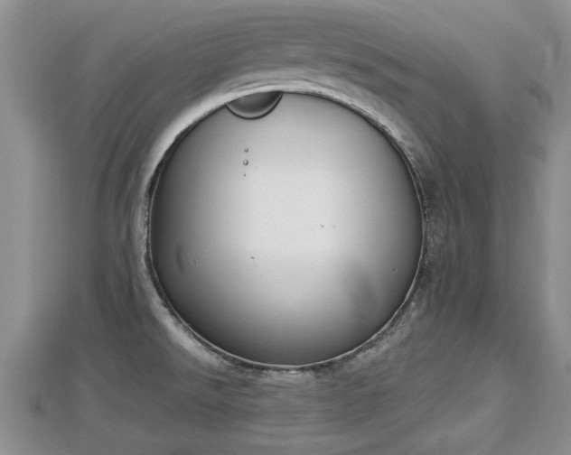 X0000112861526200908281553