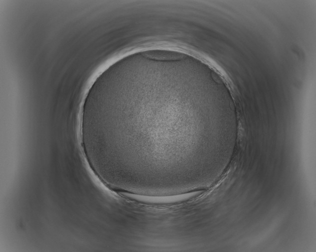 X0000112861528200908281553