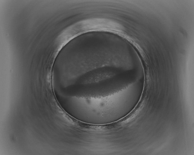 X0000112861529200908281553
