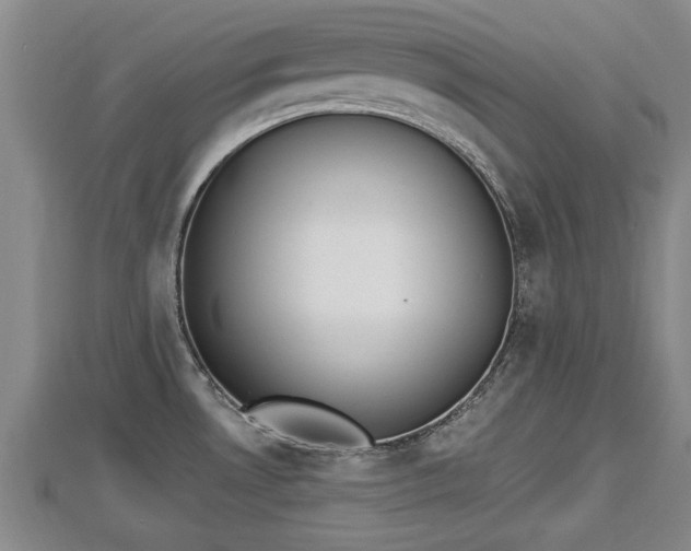 X0000112861530200908281553
