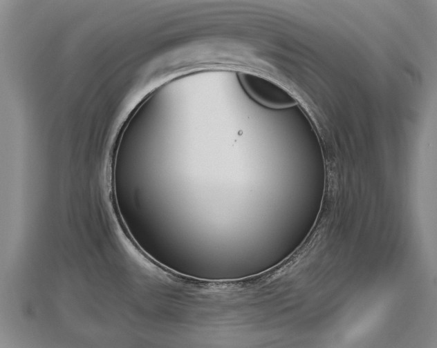 X0000112861531200908281553