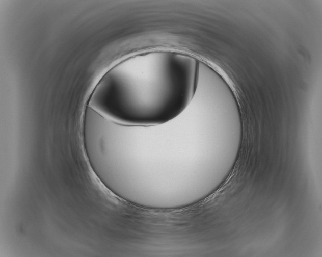 X0000112861532200908281553