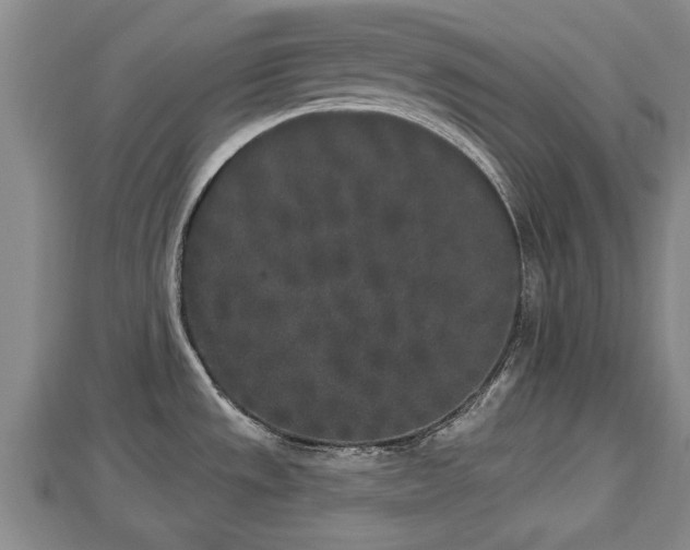 X0000112861533200908281553