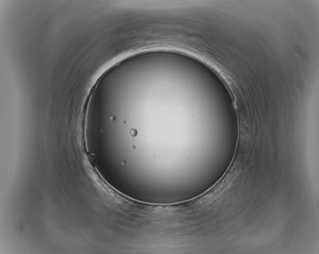 X0000112861534200908281553