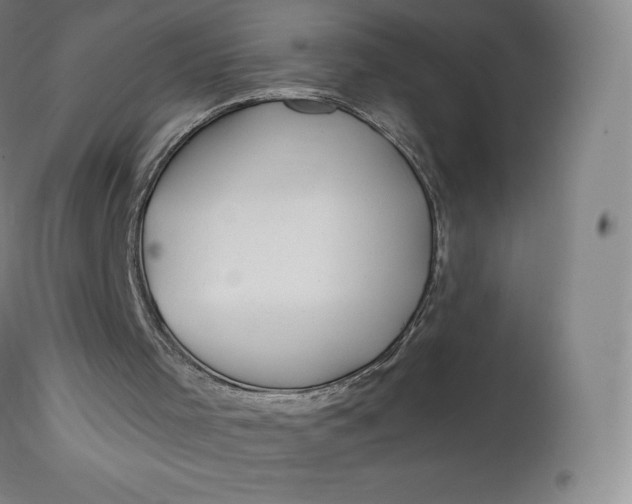 X0000112860001200909041604