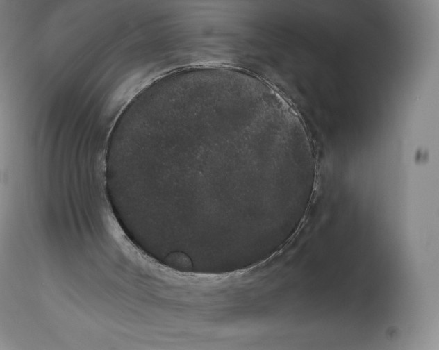 X0000112860002200909041604