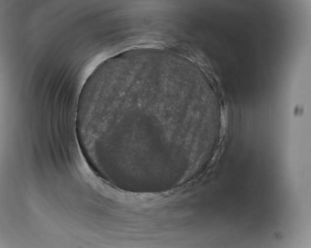 X0000112860003200909041604