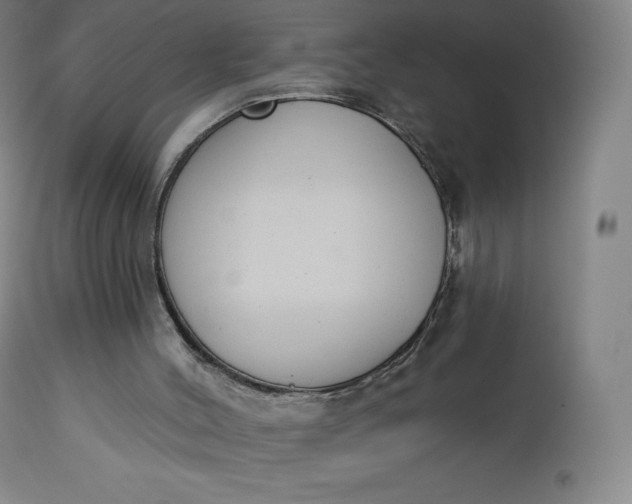 X0000112860004200909041604