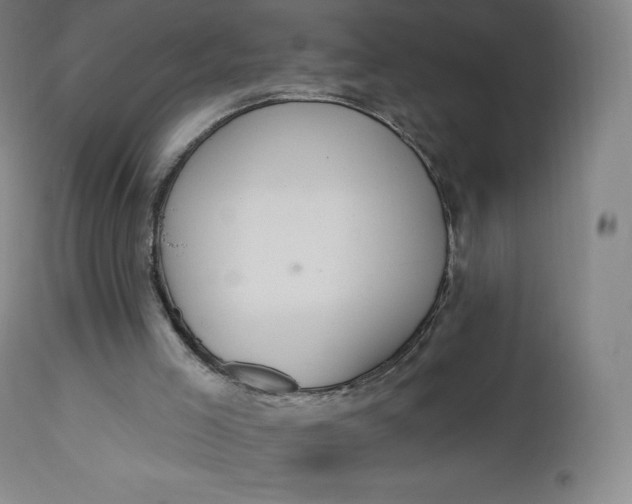 X0000112860005200909041604