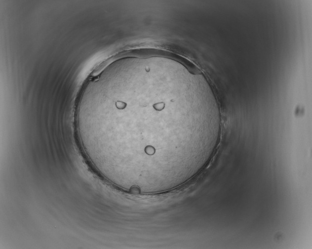 X0000112860006200909041604