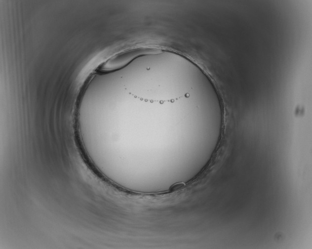 X0000112860007200909041604