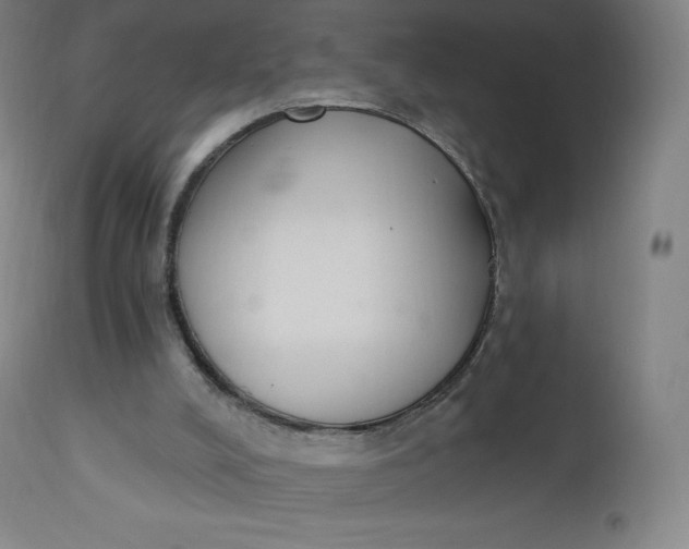 X0000112860008200909041604