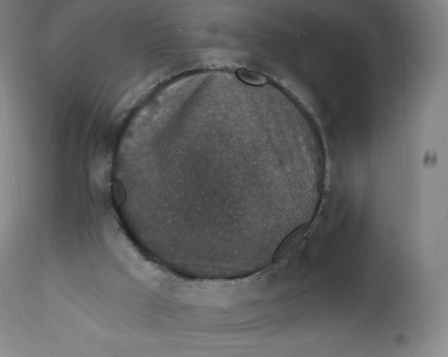 X0000112860009200909041604