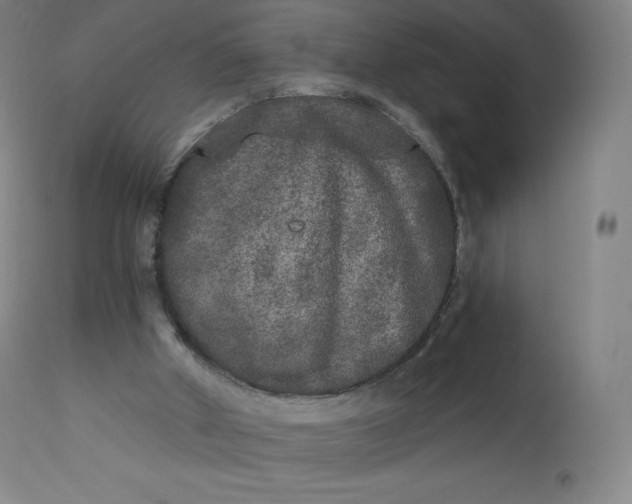 X0000112860010200909041604