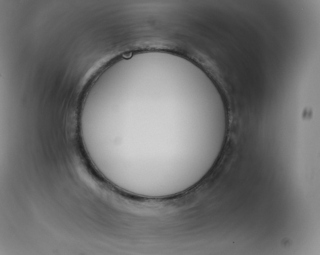 X0000112860012200909041604