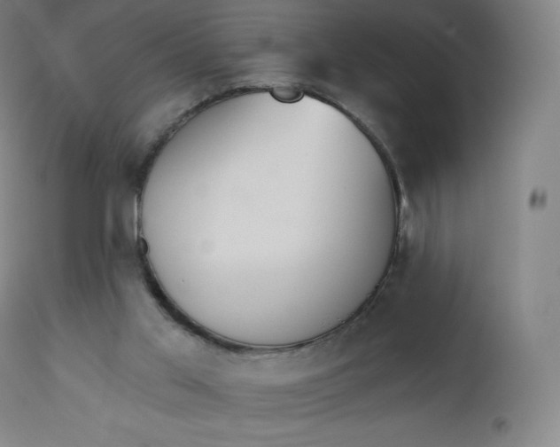 X0000112860013200909041604