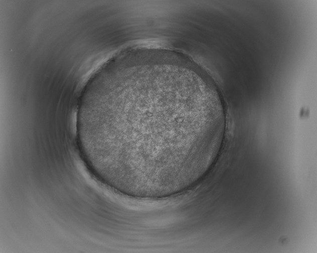 X0000112860014200909041604