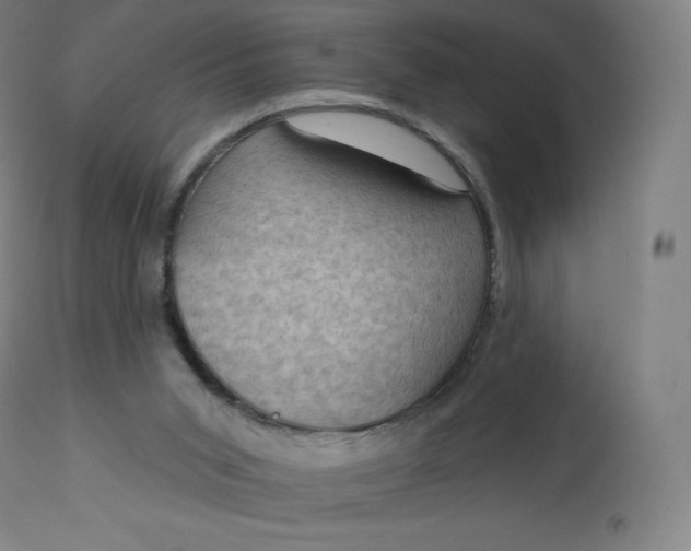 X0000112860015200909041604