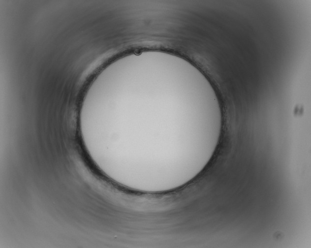 X0000112860016200909041604