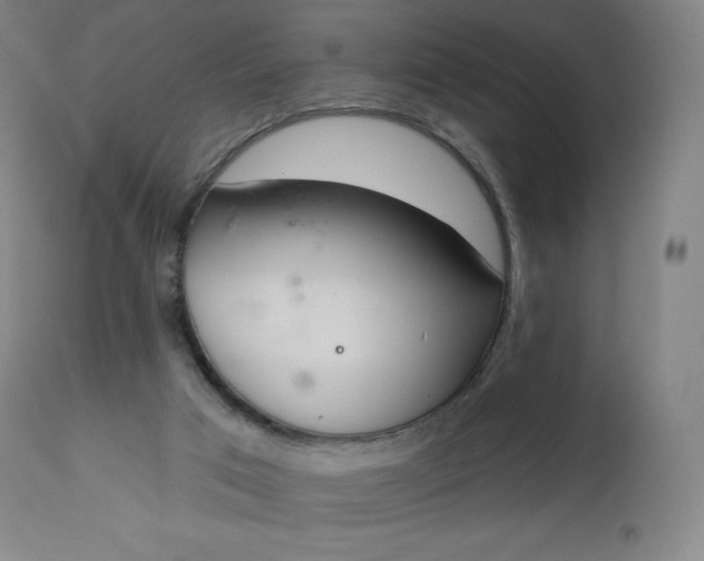 X0000112860017200909041604