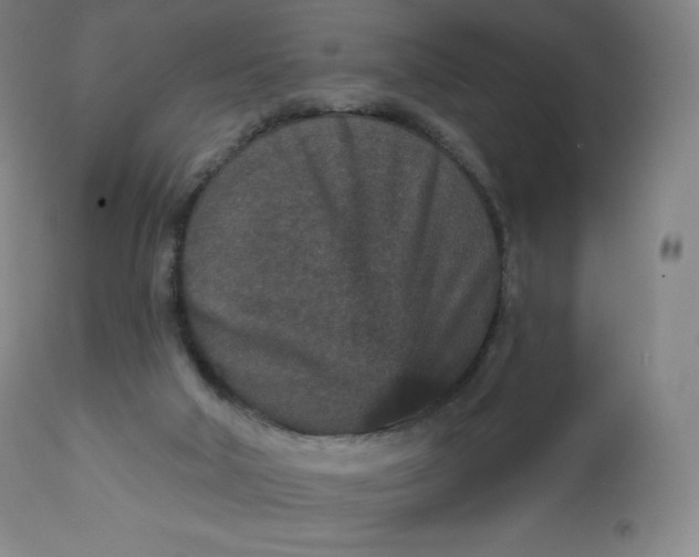 X0000112860018200909041604