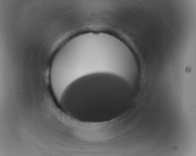 X0000112860019200909041604