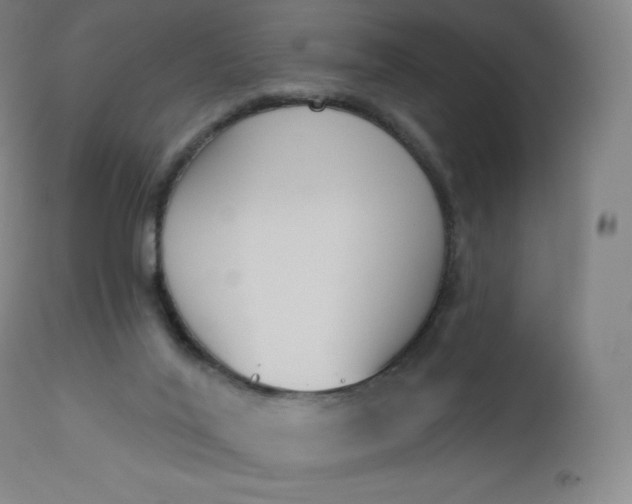 X0000112860020200909041604