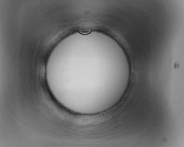 X0000112860021200909041604