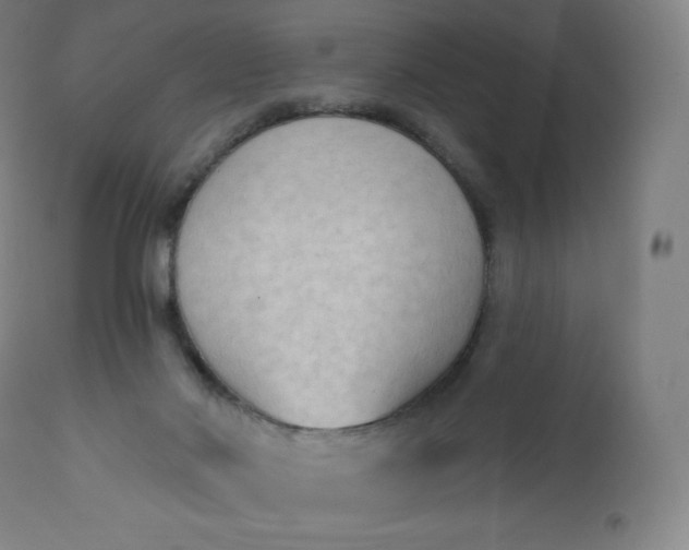 X0000112860022200909041604