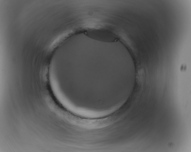 X0000112860023200909041604