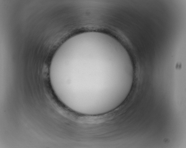 X0000112860025200909041604