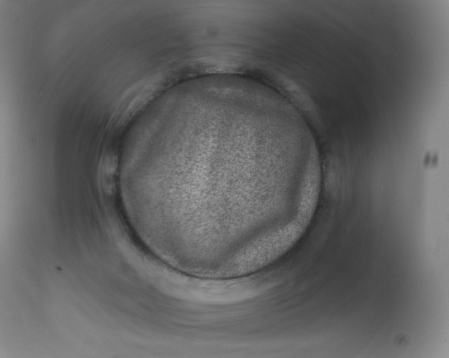 X0000112860026200909041604