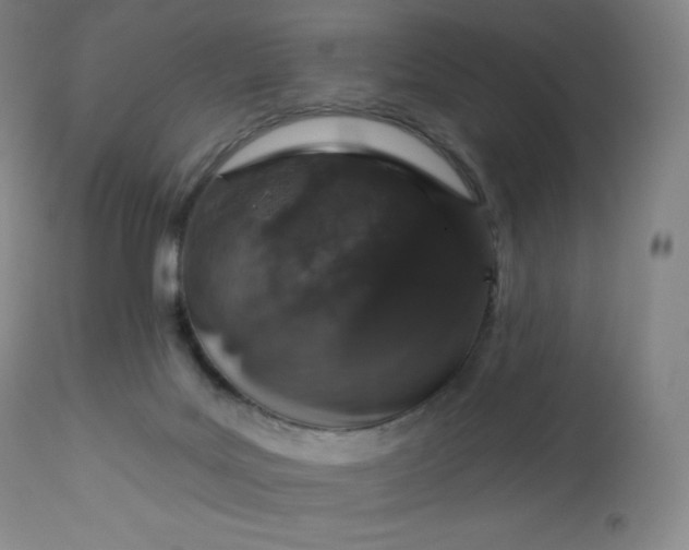 X0000112860027200909041604