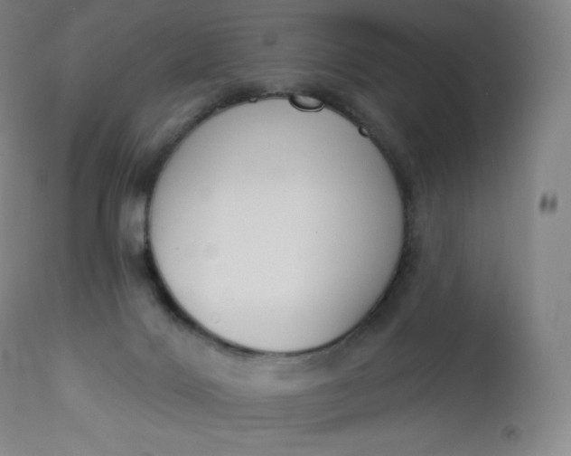 X0000112860028200909041604