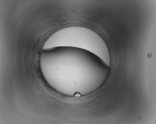 X0000112860029200909041604