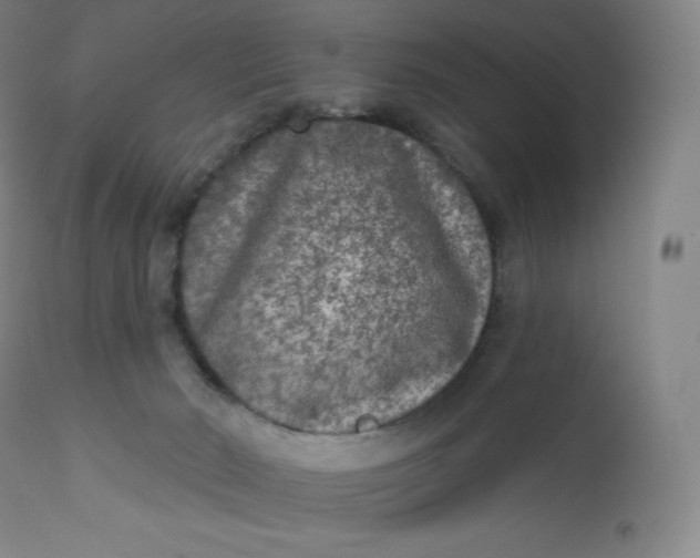 X0000112860030200909041604