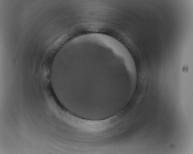 X0000112860031200909041604