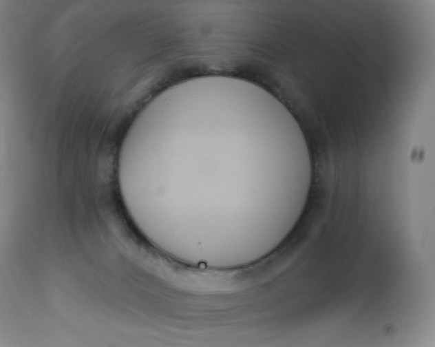 X0000112860032200909041604