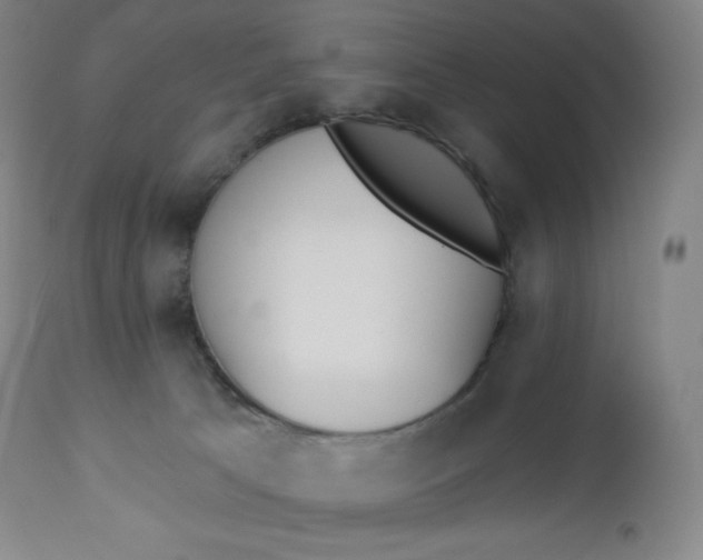 X0000112860033200909041604