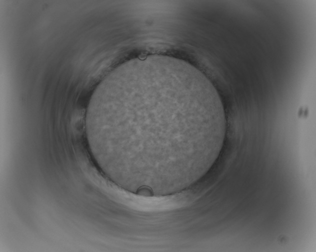 X0000112860034200909041604