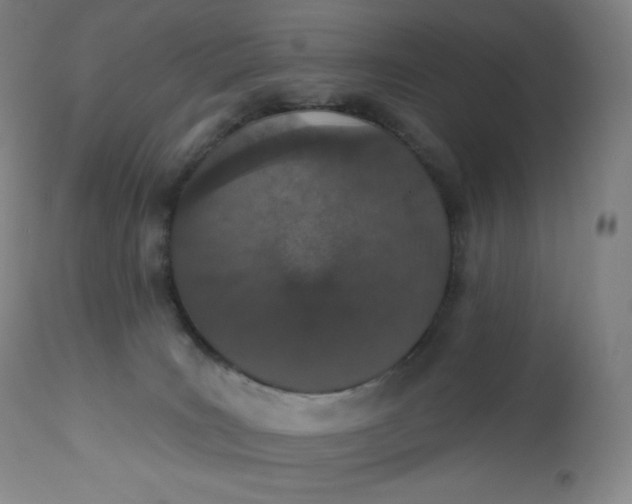 X0000112860035200909041604