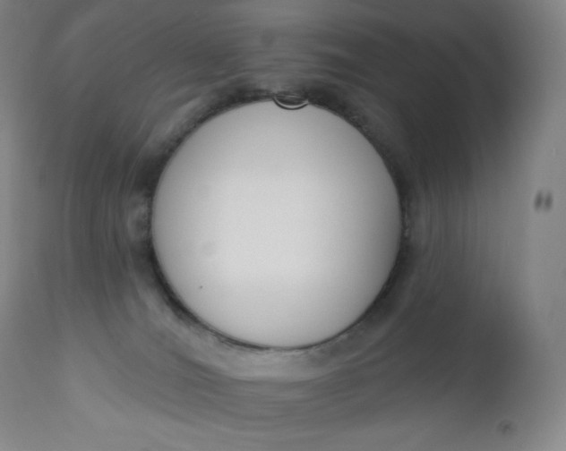 X0000112860036200909041604