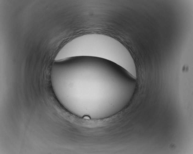 X0000112860037200909041604